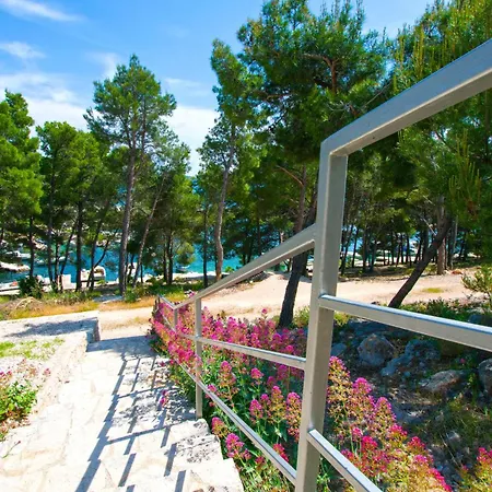 Zaborac Διαμέρισμα